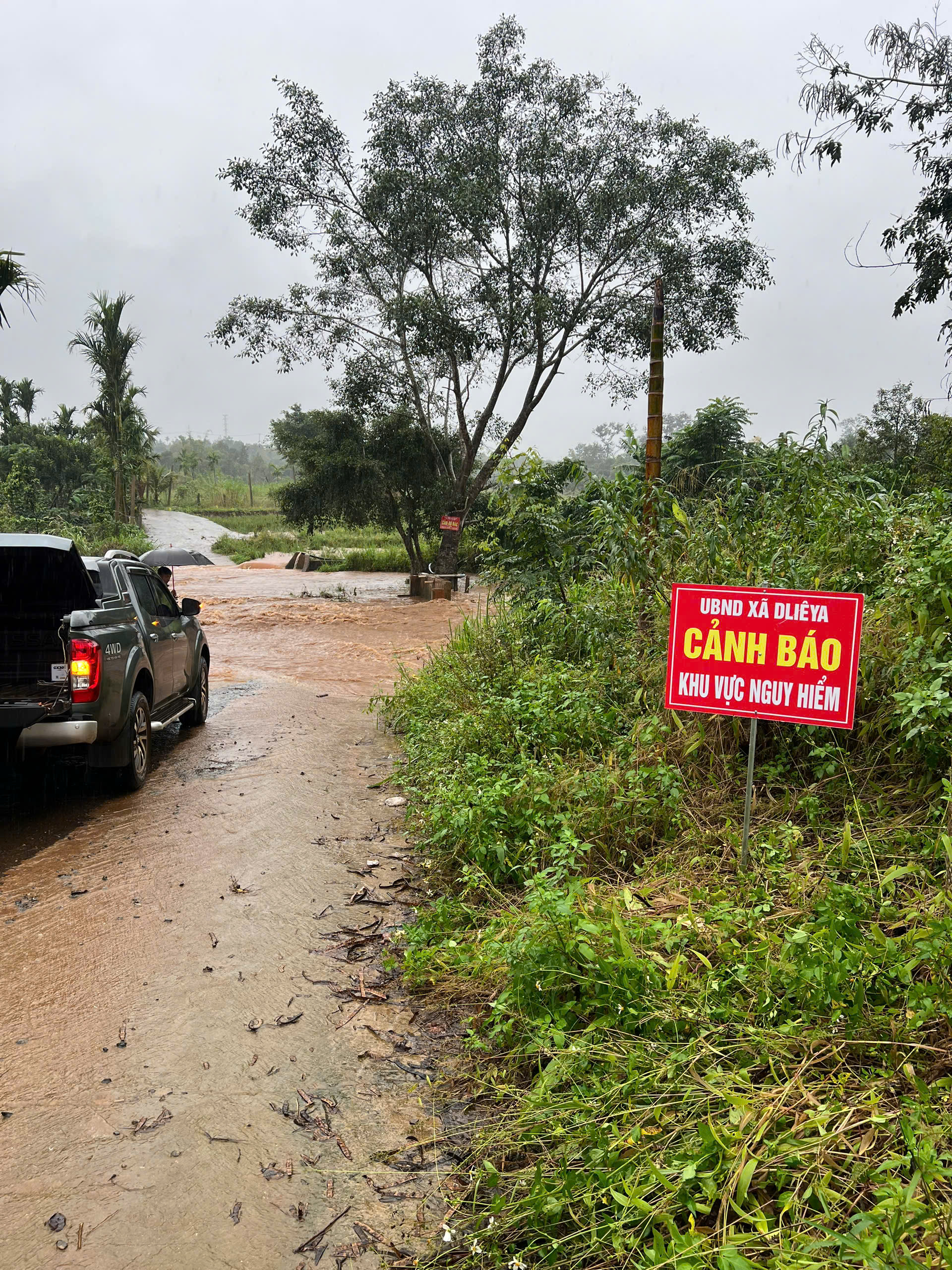 z7240893051107_b94e01c1e7906a7ba08934472bacdebb