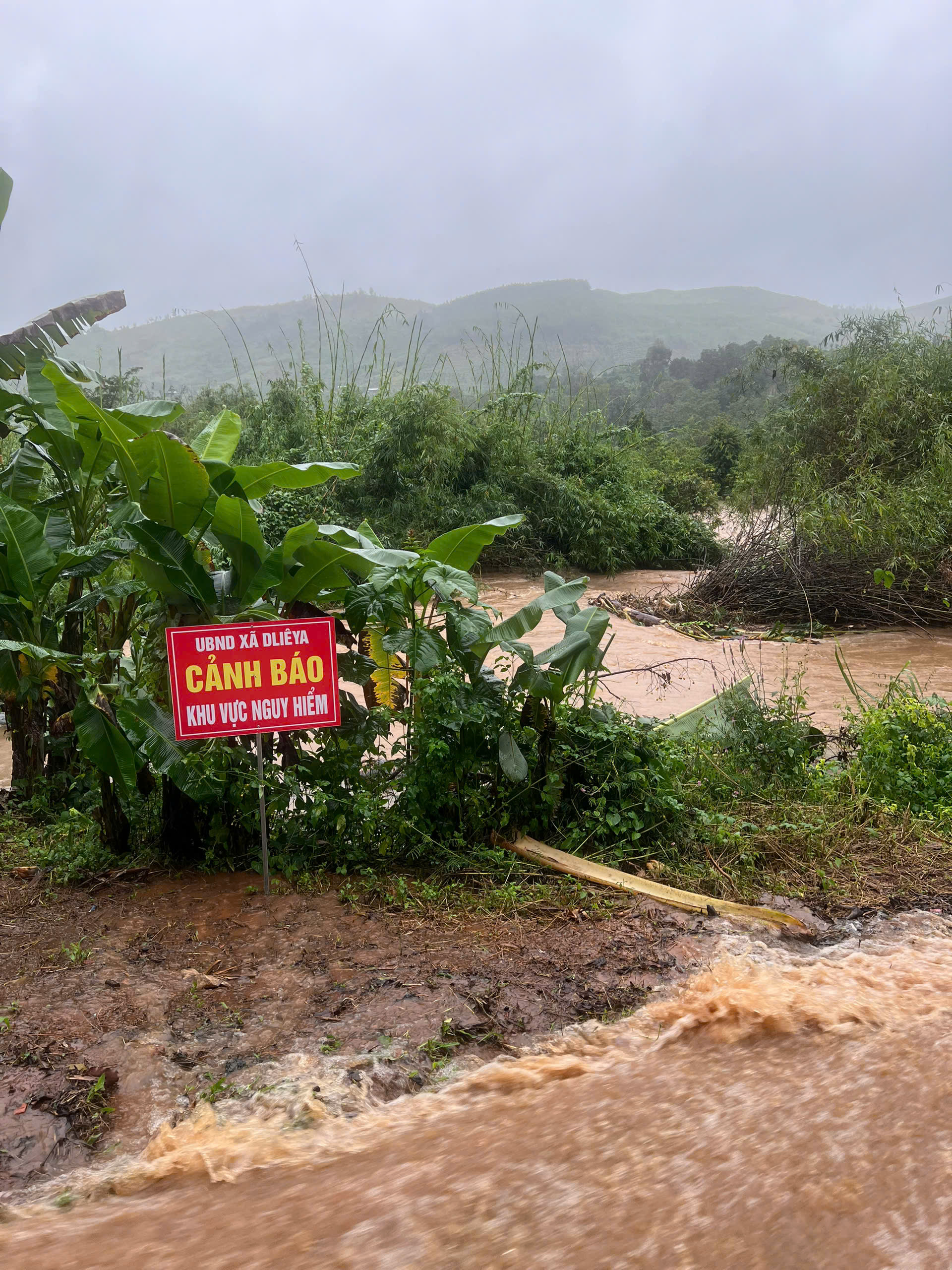 z7241022463097_0bf60c57023ddfeb2c94963c4fae6922